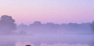 The Best Solo Activities for Finding Peace and Clarity Sunrise yoga by the lake