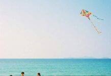 The Best Beaches for Families: Fun, Safety, and Adventure Family picnic on sunny beach