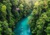 Why Eco-Tourism Is the Future of Sustainable Travel Rainforest River Kayaking