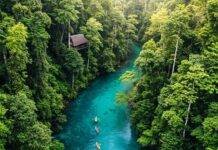 Why Eco-Tourism Is the Future of Sustainable Travel Rainforest River Kayaking