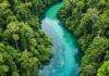 Contribute to Conservation Through Eco-Tourism Tips Aerial view of rainforest river with eco-tourists kayaking.