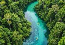 Contribute to Conservation Through Eco-Tourism Tips Aerial view of rainforest river with eco-tourists kayaking.