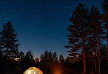Camping Spots Near Major Cities: Top Picks for Quick Escapes Serene Campsite Under Starry Sky