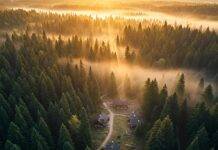 Top Forest Retreats to Reconnect with Nature in 2025 Forest Retreat Sunrise: Cabins in Misty Woods