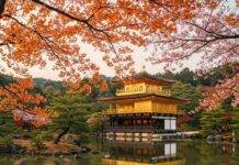 Discover Kyoto: A Traveler’s Guide to the Best Temples and Gardens Golden Kinkaku-ji Reflection