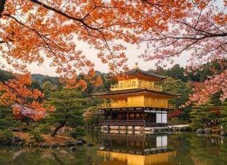 Discover Kyoto: A Traveler’s Guide to the Best Temples and Gardens Golden Kinkaku-ji Reflection