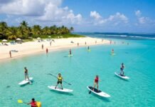 The Best Water Sports for Thrill Seekers and Beginners Diverse Water Sports Group