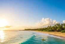 Top 5 Water Sports You Should Try at Least Onc Tropical beach activities