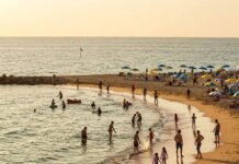 Top 10 Family-Friendly Beaches for Your Next Vacation Family fun on a bright beach.