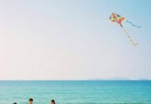 The Best Beaches for Families: Fun, Safety, and Adventure Family picnic on sunny beach