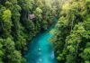 Why Eco-Tourism Is the Future of Sustainable Travel Rainforest River Kayaking