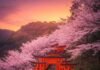 The Best Time to Visit Kyoto: Seasonal Wonders You Can’t Miss Fushimi Inari Spring