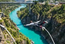 The Best Day Trips from Queenstown for Nature Lovers and Thrill Seekers Kawarau Bridge Bungee Jump