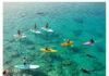 Ultimate Guide to Water Sports: What to Know Before You Dive In Water sports adventure