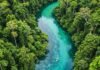 Contribute to Conservation Through Eco-Tourism Tips Aerial view of rainforest river with eco-tourists kayaking.