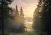 A Complete Guide to Planning the Ultimate Forest Retreat Sweeping Forest Landscape
