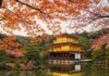 Discover Kyoto: A Traveler’s Guide to the Best Temples and Gardens Golden Kinkaku-ji Reflection