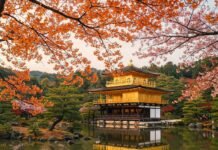 Discover Kyoto: A Traveler’s Guide to the Best Temples and Gardens Golden Kinkaku-ji Reflection