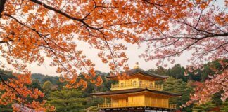 Discover Kyoto: A Traveler’s Guide to the Best Temples and Gardens Golden Kinkaku-ji Reflection