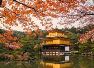 Discover Kyoto: A Traveler’s Guide to the Best Temples and Gardens Golden Kinkaku-ji Reflection